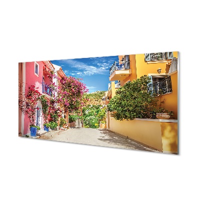 Staklena slika za zid Grčka Cvijeće zgrade planina