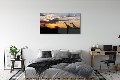 Staklena slika Oblaci stabla žirafe