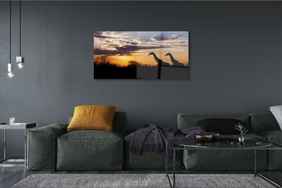 Staklena slika Oblaci stabla žirafe