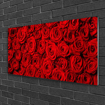 Staklena slika Ruže na zidu
