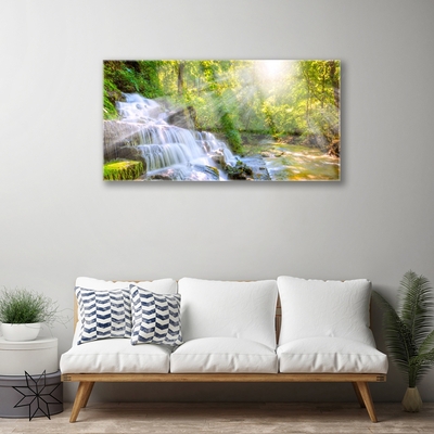 Staklena slika za zid Vodopad šumske prirode