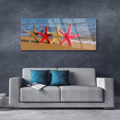 Staklena slika Beach Starfish Art