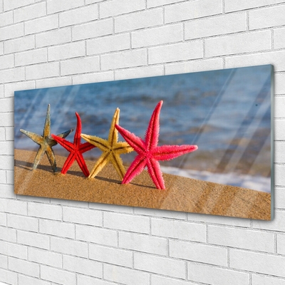 Staklena slika Beach Starfish Art