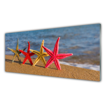 Staklena slika Beach Starfish Art