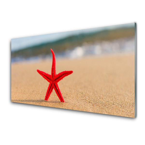 Fotografija na staklu Beach Starfish Art