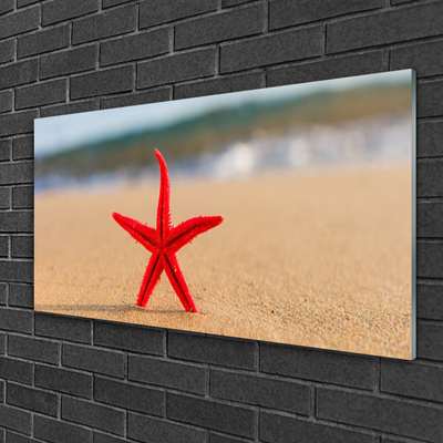 Fotografija na staklu Beach Starfish Art