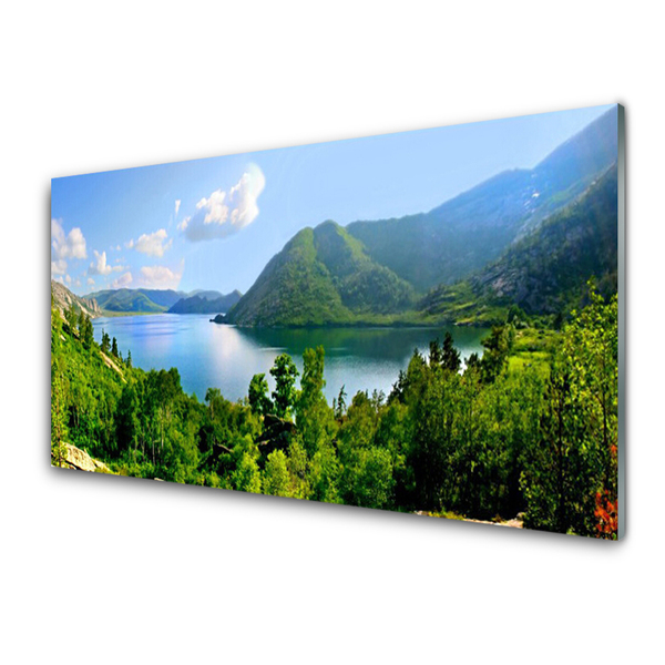 Staklena slika Planinski krajolik Forest Lake
