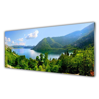 Staklena slika Planinski krajolik Forest Lake