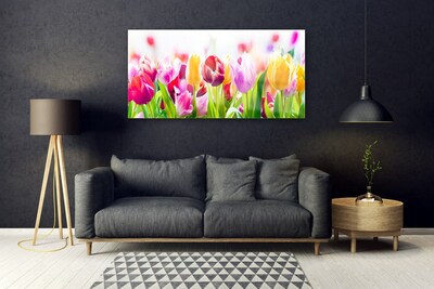 Fotografija na staklu Tulipani Cvijeće