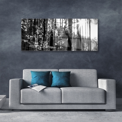 Staklena slika za zid Šumska priroda Drveće