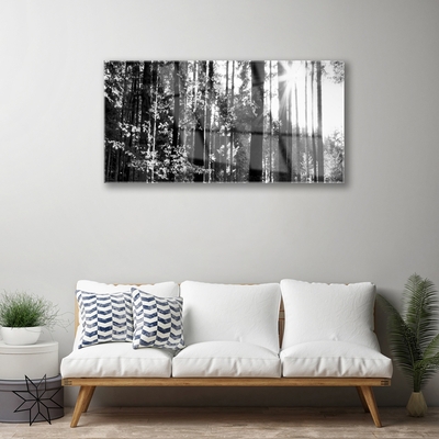 Staklena slika za zid Šumska priroda Drveće