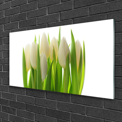 Staklena slika Tulipani Biljna priroda