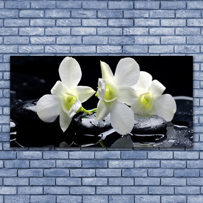 Staklena slika Bijeli cvijet orhideje