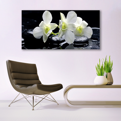 Staklena slika Bijeli cvijet orhideje