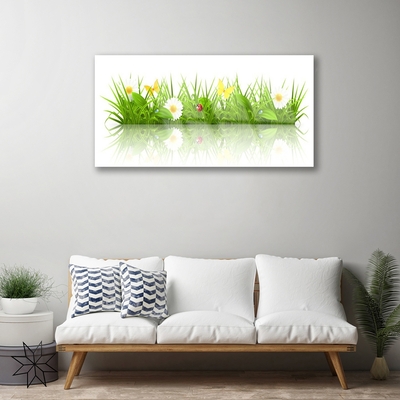 Staklena slika Trava Prirodna biljka
