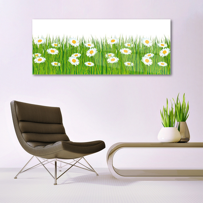 Staklena slika Grass Daisies Priroda