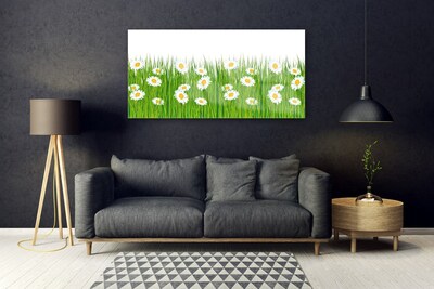 Staklena slika Grass Daisies Priroda