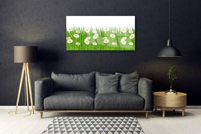 Staklena slika Grass Daisies Priroda