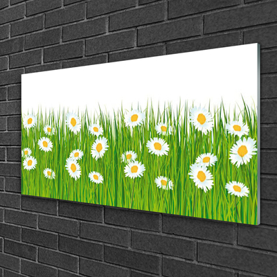 Staklena slika Grass Daisies Priroda