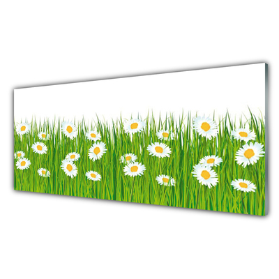 Staklena slika Grass Daisies Priroda