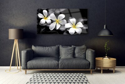 Fotografija na staklu Biljka Plumeria