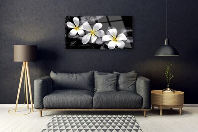 Fotografija na staklu Biljka Plumeria