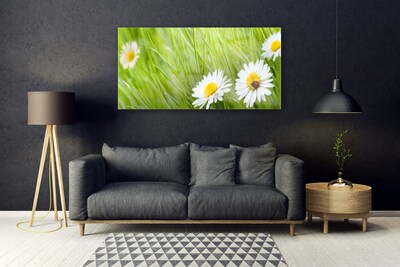 Staklena slika Grass Daisies Priroda