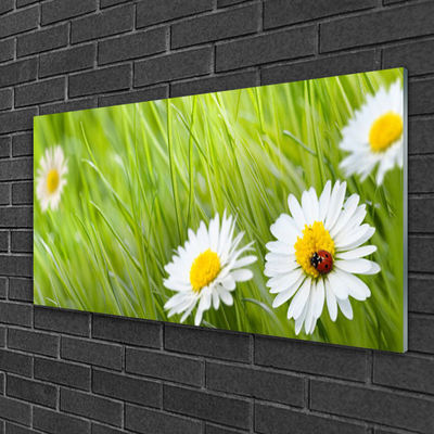 Staklena slika Grass Daisies Priroda