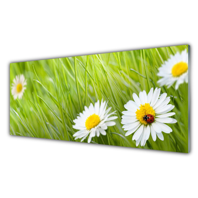 Staklena slika Grass Daisies Priroda