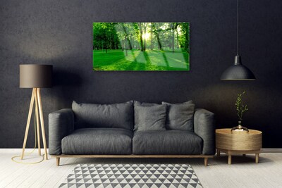 Staklena slika Park šuma prirode