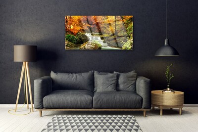 Fotografija na staklu Vodopad šumske prirode