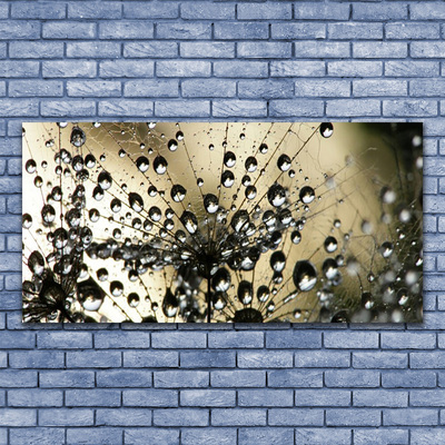 Staklena slika za zid Maslačak Biljka