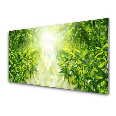 Staklena slika za zid Lišće Prirodna biljka