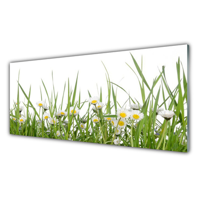 Fotografija na staklu Grass Daisies Priroda