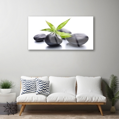 Staklena slika Stones Leaves Art