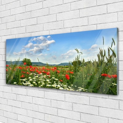 Staklena slika za zid Livadno cvijeće Prirodna biljka