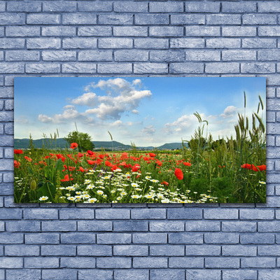 Staklena slika za zid Livadno cvijeće Prirodna biljka