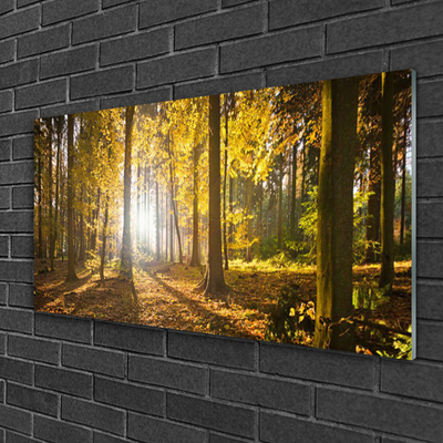 Staklena slika za zid Šumsko lišće Biljna priroda