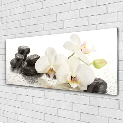Staklena slika Biljka cvjetnog kamenja