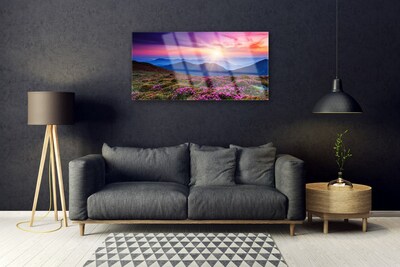 Staklena slika Sunčani krajolik planinske livade