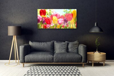 Fotografija na staklu Tulipani Cvijeće Biljka
