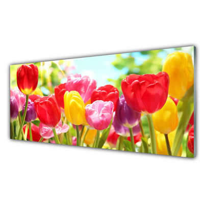 Fotografija na staklu Tulipani Cvijeće Biljka