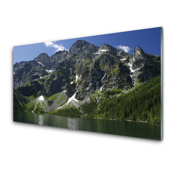 Staklena slika Planine Jezero Šumski krajolik
