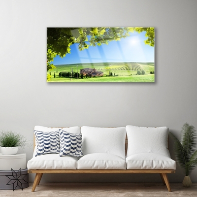 Fotografija na staklu Polje Lišće Pejzaž