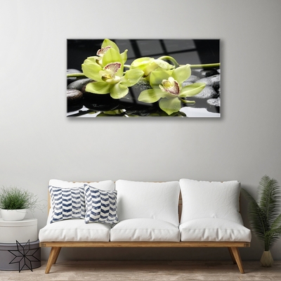 Fotografija na staklu Cvjetna biljka orhideja
