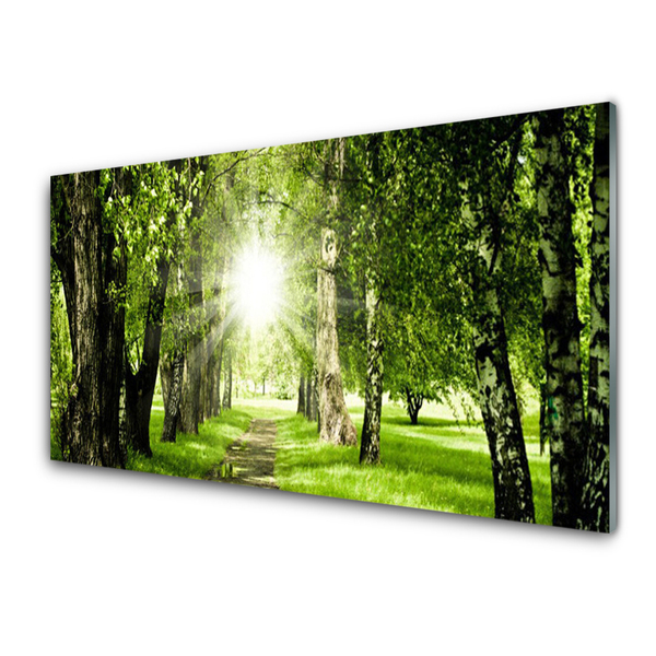 Staklena slika Šumski put sunca Priroda