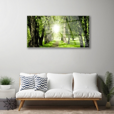 Staklena slika Šumski put sunca Priroda