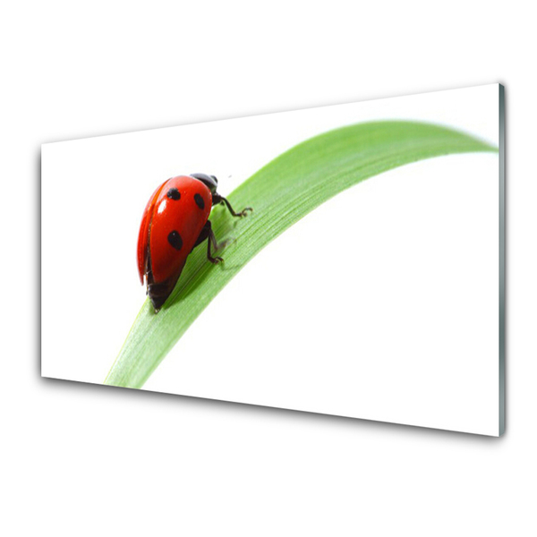 Staklena slika za zid Ladybug Leaf Priroda