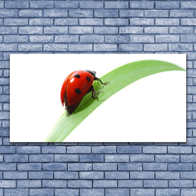 Staklena slika za zid Ladybug Leaf Priroda