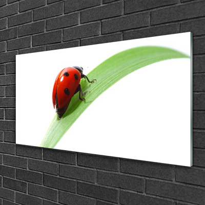 Staklena slika za zid Ladybug Leaf Priroda